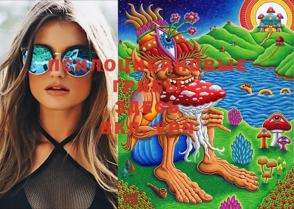марки nbome Богданович