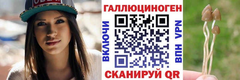 наркотики Балашиха Псилоцибиновые грибы мицелий